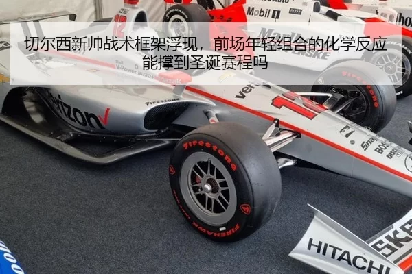 qie-er-xi-xin-shuai-zhan-shu-kuang-jia-fu-xian-qian-chang-nian-qing-zu-he-de-hua-xue-fan-ying-neng-cheng-dao-sheng-dan-3-266.jpg